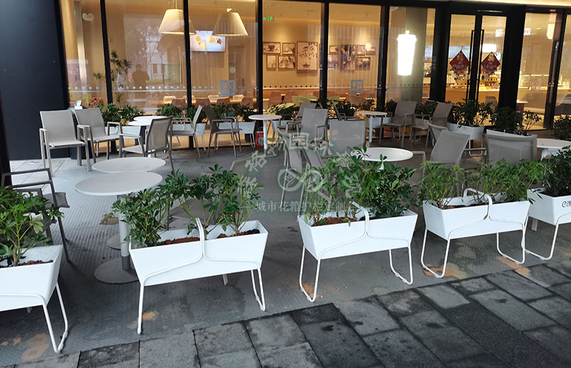 安徽花箱案例：嘉興商業(yè)街花箱花架隔斷案例