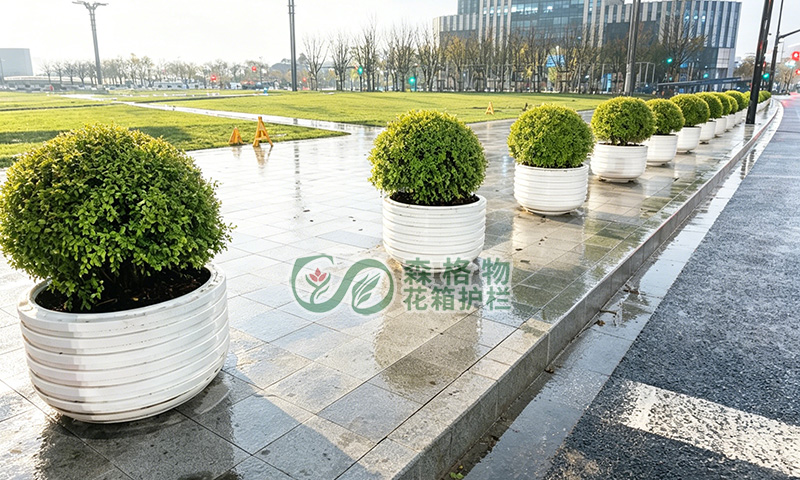 上海浦東道路景觀提升 不銹鋼圓形樹(shù)池花缽項(xiàng)目案例