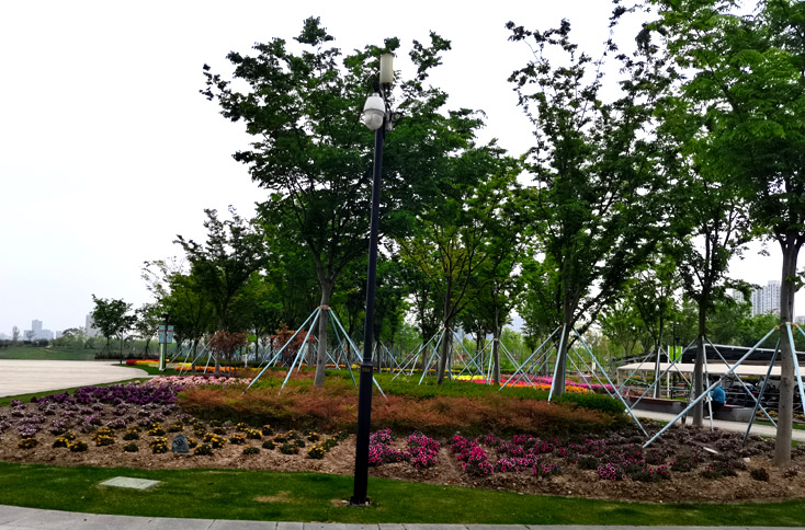 園林景觀綠化養(yǎng)護分類每月應重點注意事項