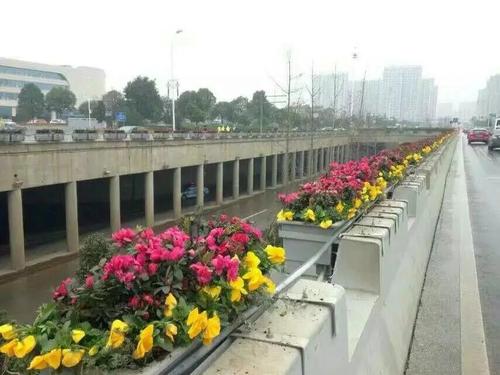 高架花箱可以用滴灌嗎？