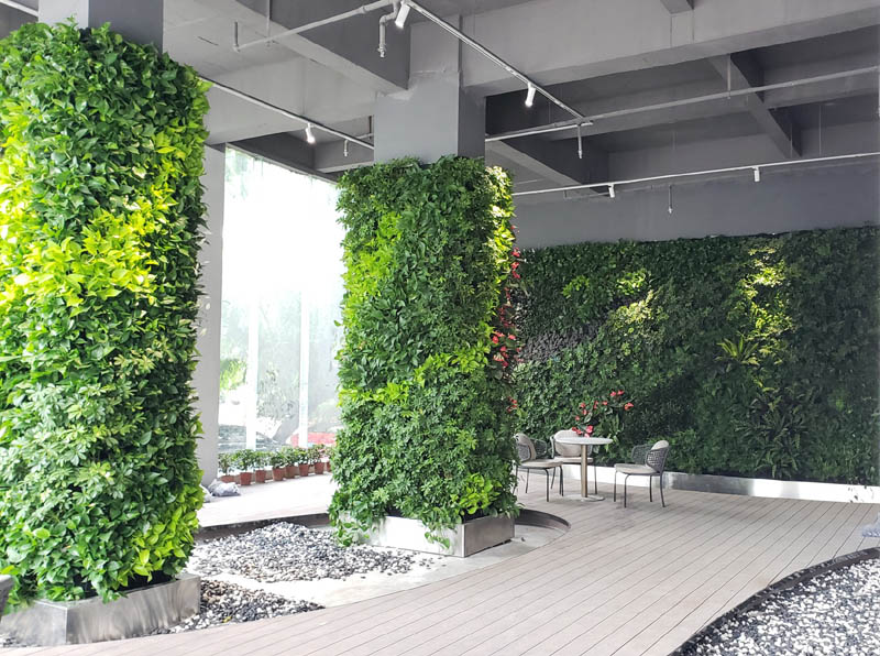 室外垂直綠化一般應(yīng)該選擇哪些植物品類？