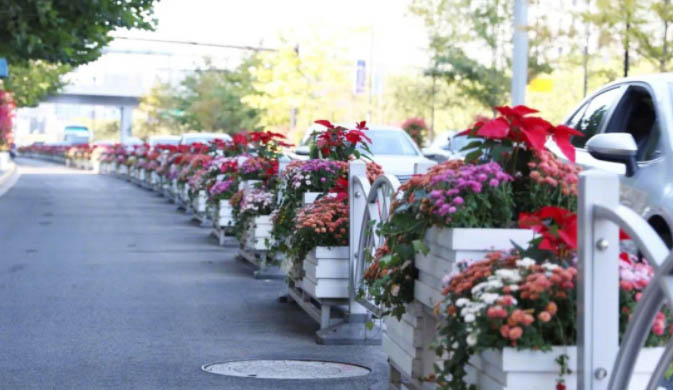 2021進(jìn)博會(huì)綻放在道路、主題景點(diǎn)、花壇花境的園林小品美景