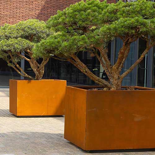 安徽耐候鋼花箱樹池