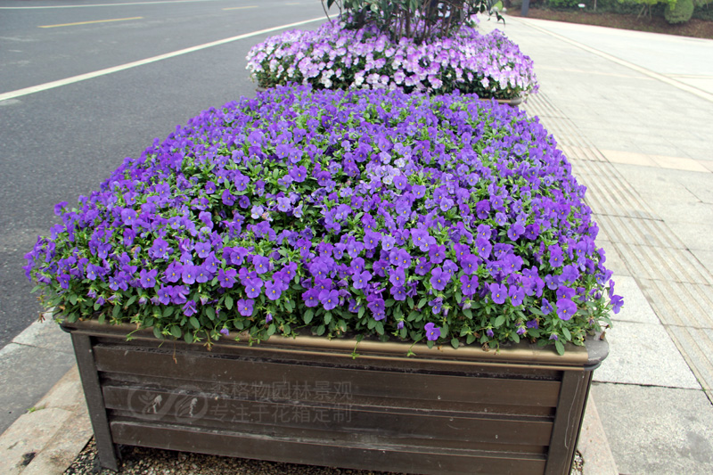 浙江嘉興機(jī)非道路隔離花箱案例
