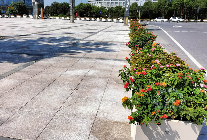 嘉興中心廣場(chǎng)花箱案例