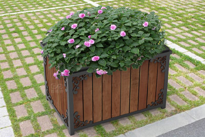 戶外花箱如何選擇合適的植物搭配？