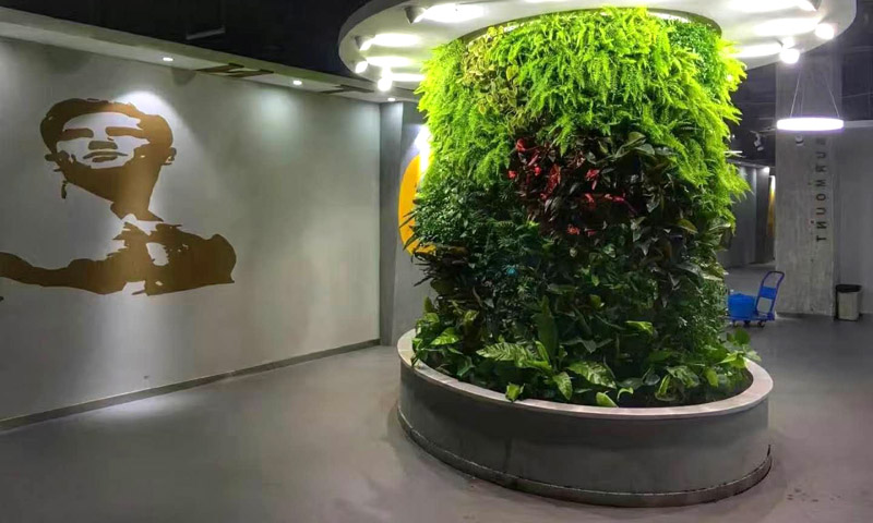 室內(nèi)植物墻搭配軟裝好看嗎？