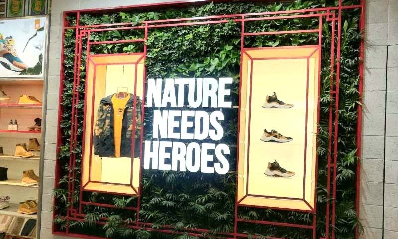 室內(nèi)植物墻養(yǎng)護(hù)原則和方法