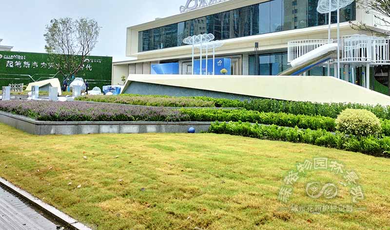 如何在主題公園景觀設(shè)計中做好植物配置