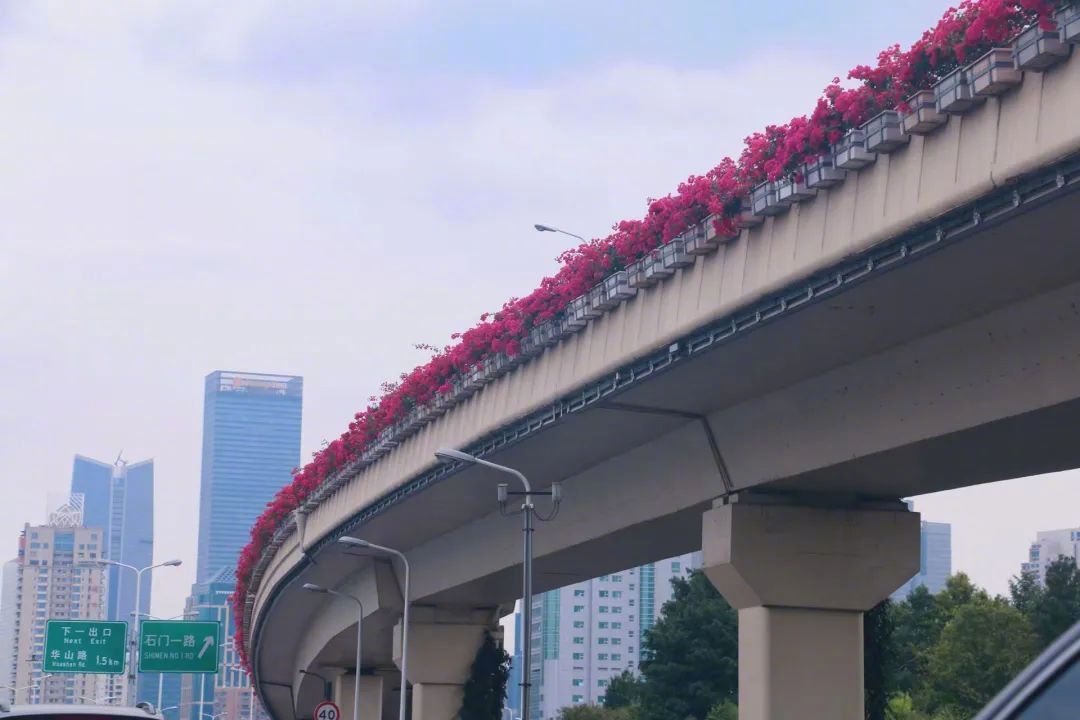 高架綠化應(yīng)該怎樣做！